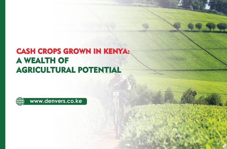 Cash Crops Grown in Kenya