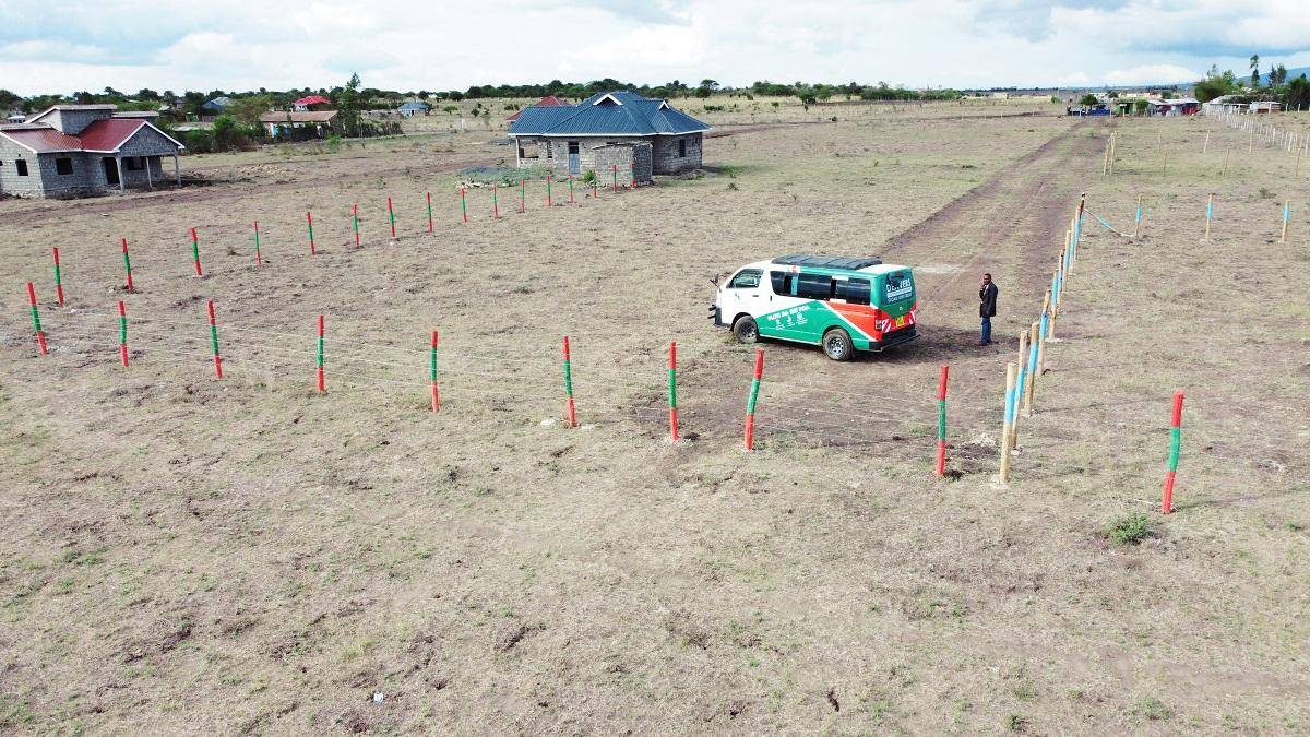 denver oak plots in malaa